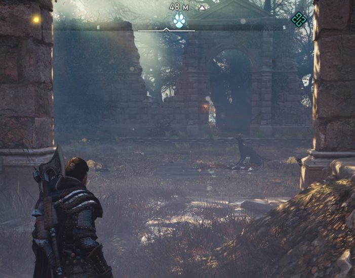 Черный Шак в Assassin’s Creed: Valhalla