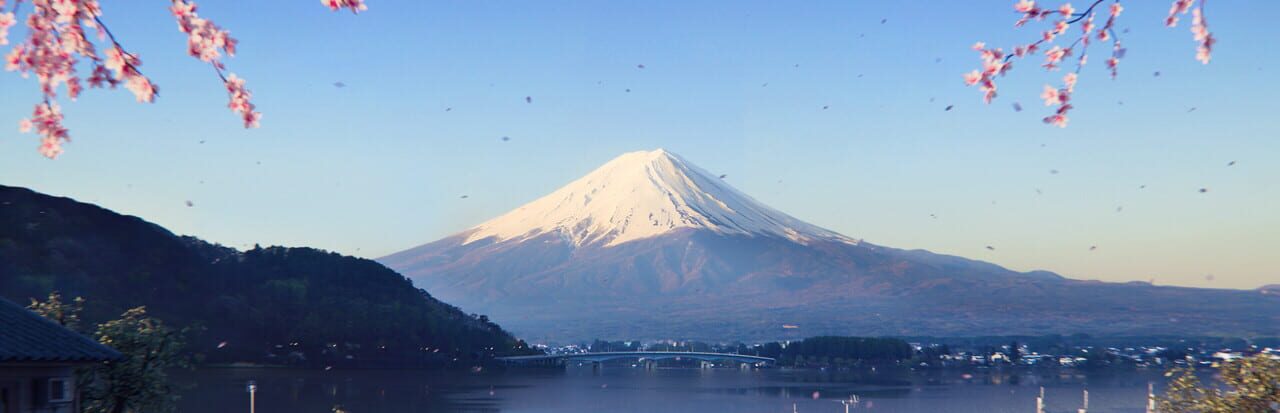 Арт Forza Horizon 6